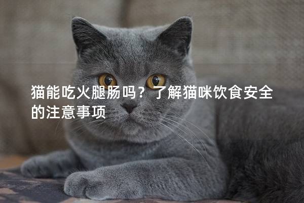 猫能吃火腿肠吗？了解猫咪饮食安全的注意事项