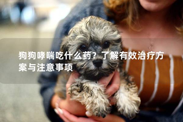 狗狗哮喘吃什么药？了解有效治疗方案与注意事项