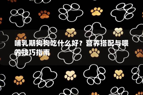 哺乳期狗狗吃什么好？营养搭配与喂养技巧指南