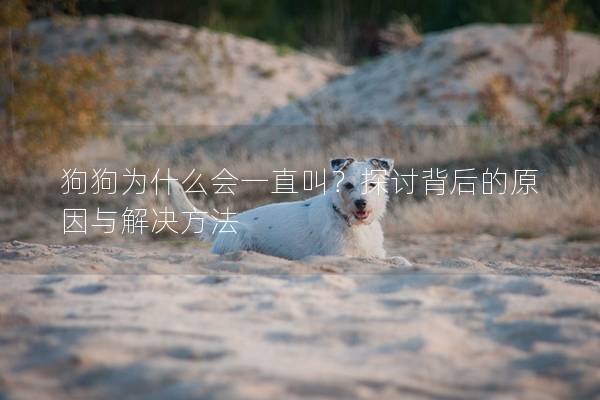 狗狗为什么会一直叫？探讨背后的原因与解决方法