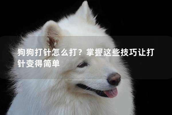狗狗打针怎么打？掌握这些技巧让打针变得简单