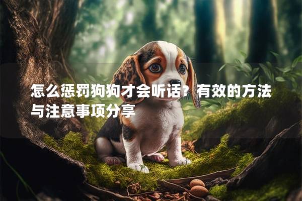 怎么惩罚狗狗才会听话？有效的方法与注意事项分享