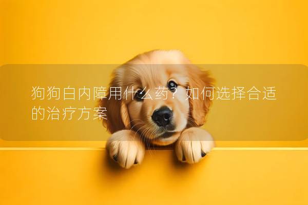 狗狗白内障用什么药？如何选择合适的治疗方案