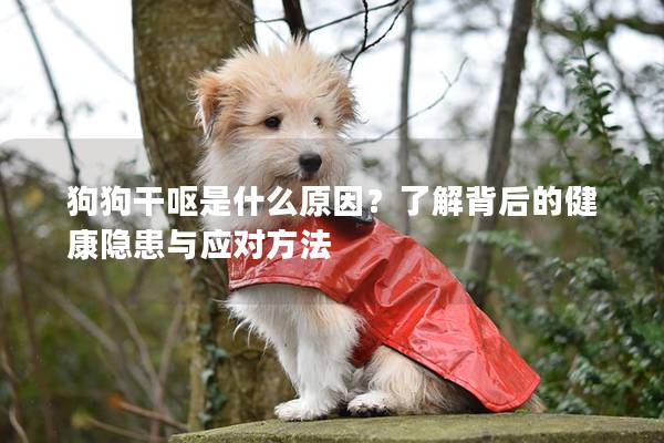 狗狗干呕是什么原因？了解背后的健康隐患与应对方法