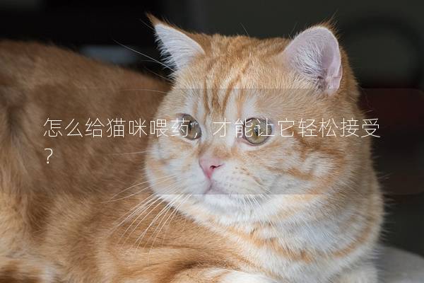 怎么给猫咪喂药，才能让它轻松接受？