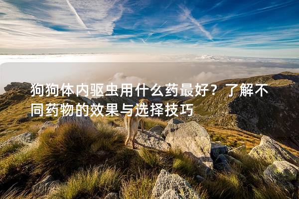 狗狗体内驱虫用什么药最好？了解不同药物的效果与选择技巧