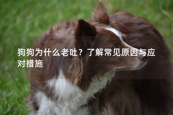 狗狗为什么老吐？了解常见原因与应对措施