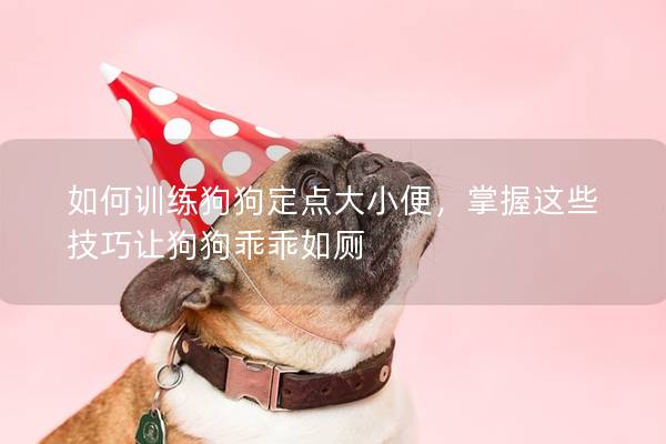 如何训练狗狗定点大小便，掌握这些技巧让狗狗乖乖如厕