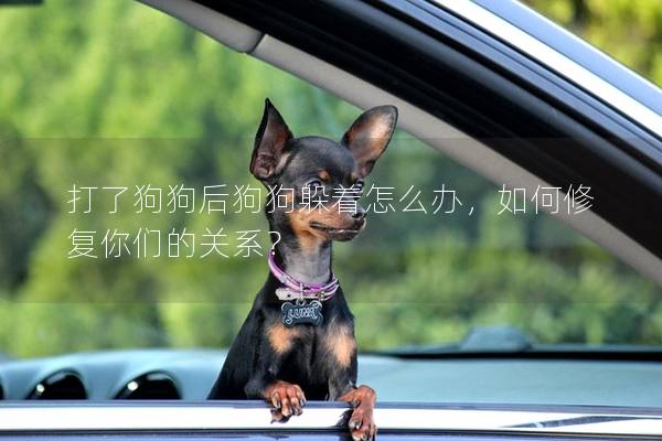 打了狗狗后狗狗躲着怎么办，如何修复你们的关系？