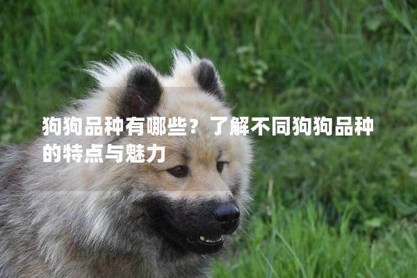 狗狗品种有哪些?了解不同狗狗品种的特点与魅力 狗狗品种有哪些?了解不同狗狗品种的特点与魅力