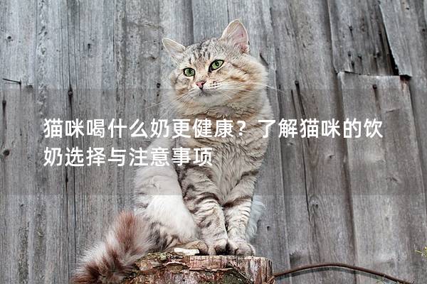 猫咪喝什么奶更健康？了解猫咪的饮奶选择与注意事项