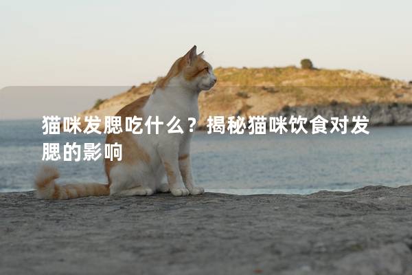 猫咪发腮吃什么？揭秘猫咪饮食对发腮的影响