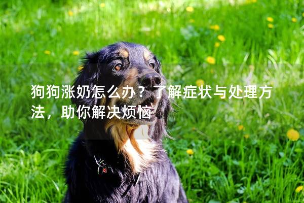 狗狗涨奶怎么办？了解症状与处理方法，助你解决烦恼