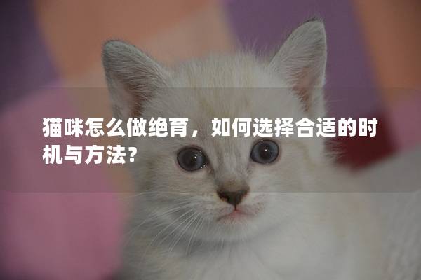猫咪怎么做绝育，如何选择合适的时机与方法？