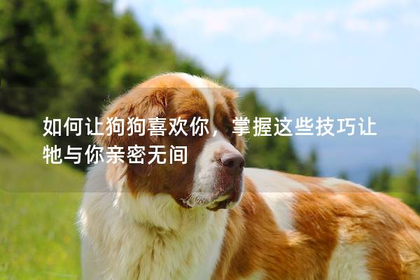 如何让狗狗喜欢你，掌握这些技巧让牠与你亲密无间