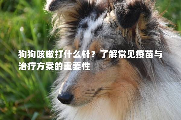 狗狗咳嗽打什么针？了解常见疫苗与治疗方案的重要性