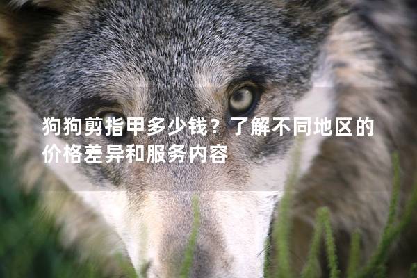 狗狗剪指甲多少钱？了解不同地区的价格差异和服务内容