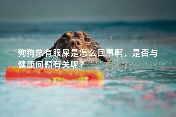 狗狗总有眼屎是怎么回事啊，是否与健康问题有关呢？