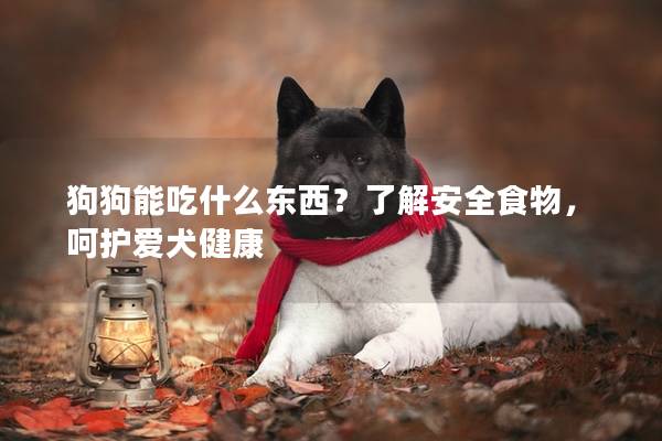 狗狗能吃什么东西？了解安全食物，呵护爱犬健康