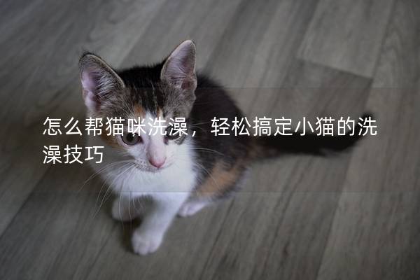 怎么帮猫咪洗澡，轻松搞定小猫的洗澡技巧