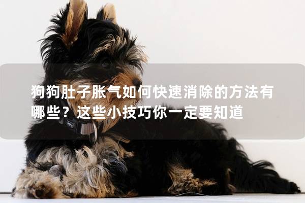 狗狗肚子胀气如何快速消除的方法有哪些？这些小技巧你一定要知道