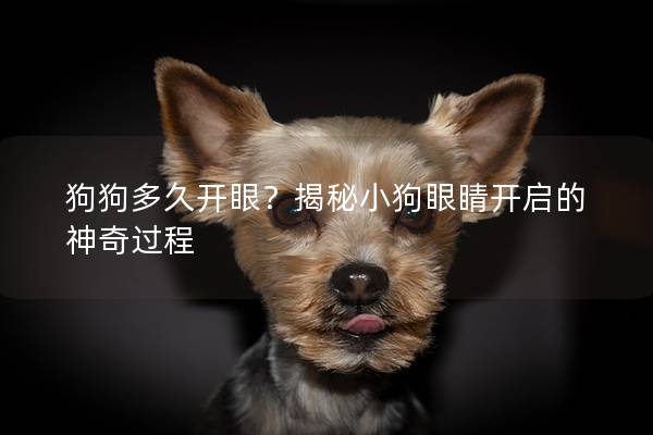 狗狗多久开眼？揭秘小狗眼睛开启的神奇过程