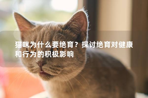 猫咪为什么要绝育？探讨绝育对健康和行为的积极影响