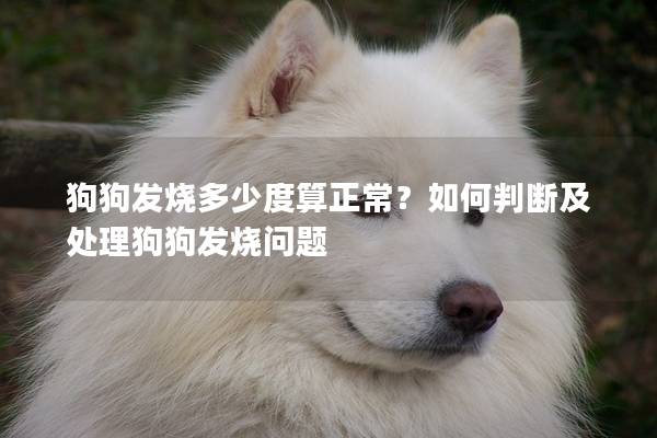 狗狗发烧多少度算正常？如何判断及处理狗狗发烧问题