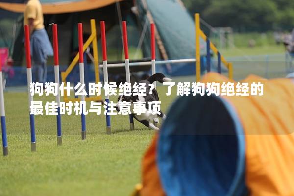 狗狗什么时候绝经？了解狗狗绝经的最佳时机与注意事项