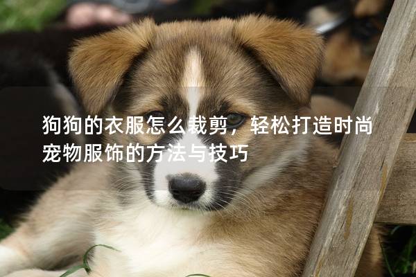 狗狗的衣服怎么裁剪，轻松打造时尚宠物服饰的方法与技巧