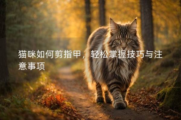 猫咪如何剪指甲，轻松掌握技巧与注意事项