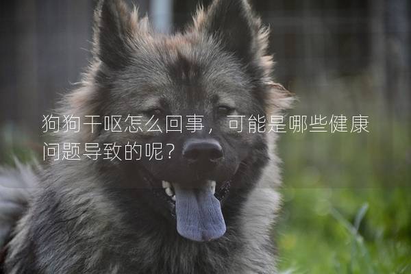 狗狗干呕怎么回事，可能是哪些健康问题导致的呢？