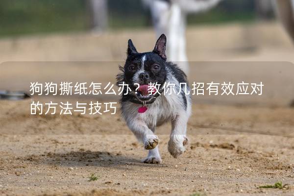 狗狗撕纸怎么办？教你几招有效应对的方法与技巧