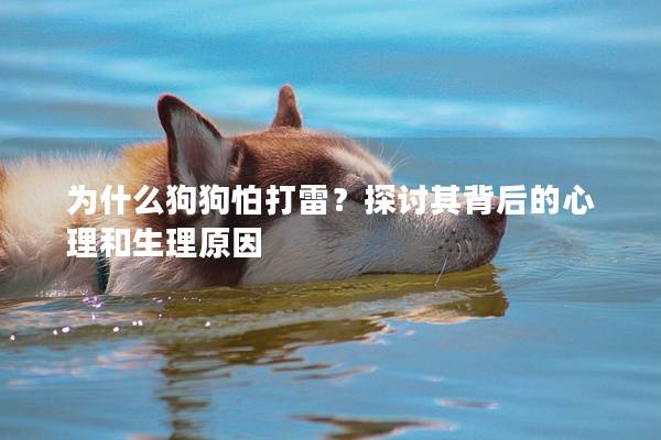 为什么狗狗怕打雷？探讨其背后的心理和生理原因