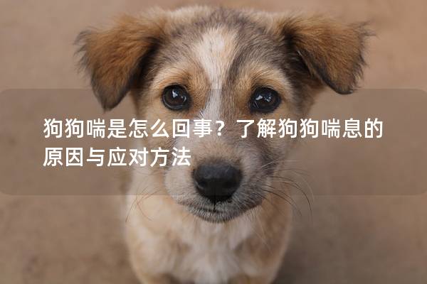 狗狗喘是怎么回事？了解狗狗喘息的原因与应对方法