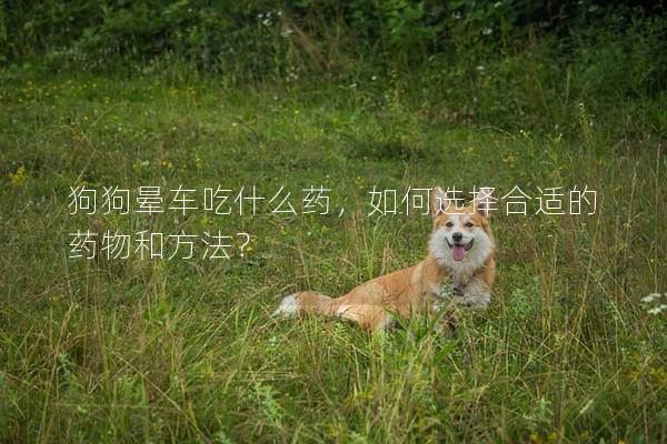 狗狗晕车吃什么药，如何选择合适的药物和方法？