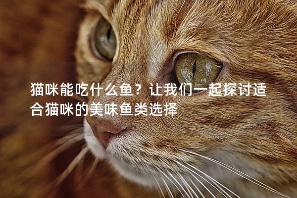 猫咪能吃什么鱼？让我们一起探讨适合猫咪的美味鱼类选择