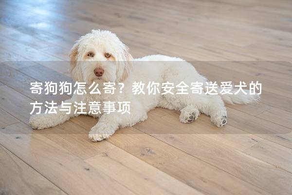 寄狗狗怎么寄？教你安全寄送爱犬的方法与注意事项