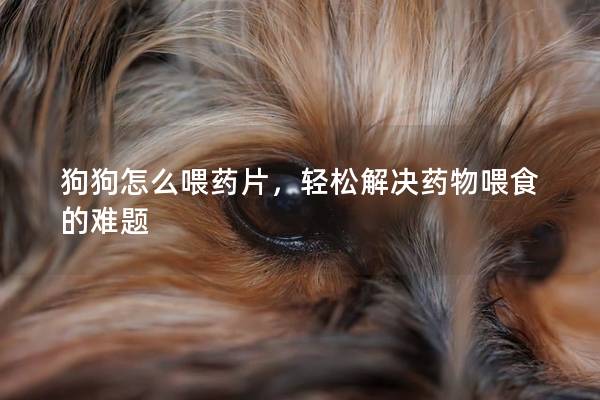 狗狗怎么喂药片，轻松解决药物喂食的难题