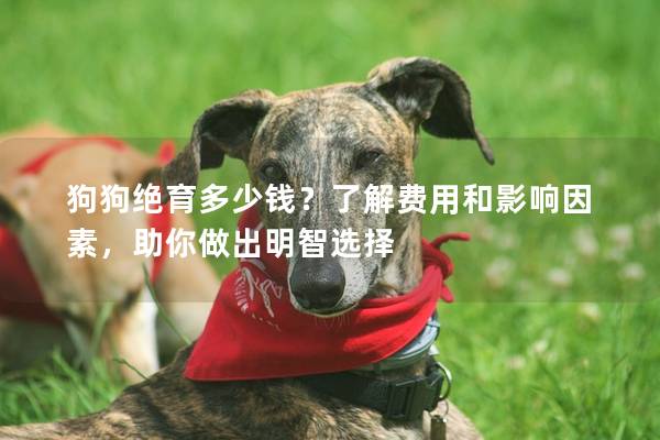 狗狗绝育多少钱？了解费用和影响因素，助你做出明智选择