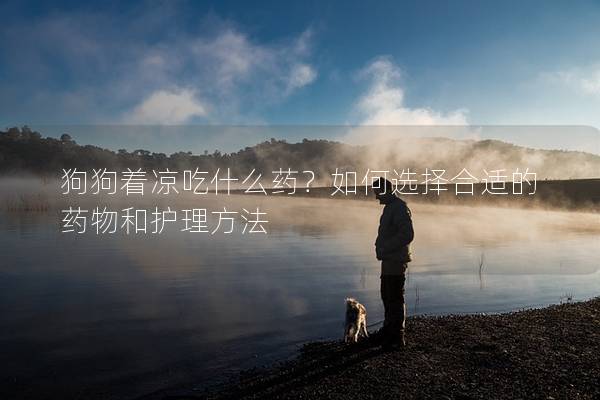 狗狗着凉吃什么药？如何选择合适的药物和护理方法