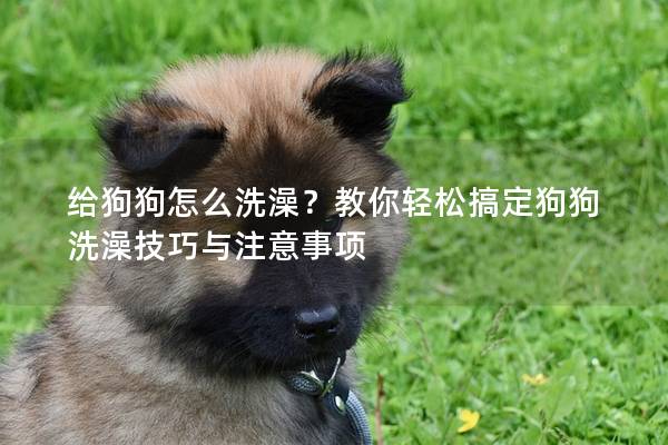 给狗狗怎么洗澡？教你轻松搞定狗狗洗澡技巧与注意事项