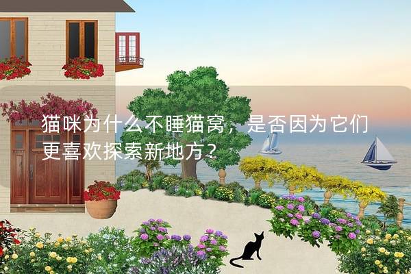 猫咪为什么不睡猫窝，是否因为它们更喜欢探索新地方？