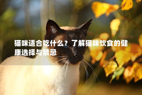 猫咪适合吃什么？了解猫咪饮食的健康选择与禁忌