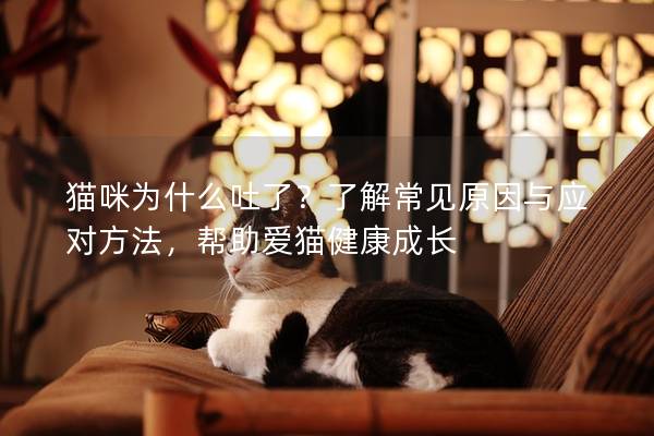 猫咪为什么吐了？了解常见原因与应对方法，帮助爱猫健康成长
