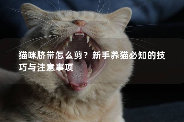 猫咪脐带怎么剪？新手养猫必知的技巧与注意事项