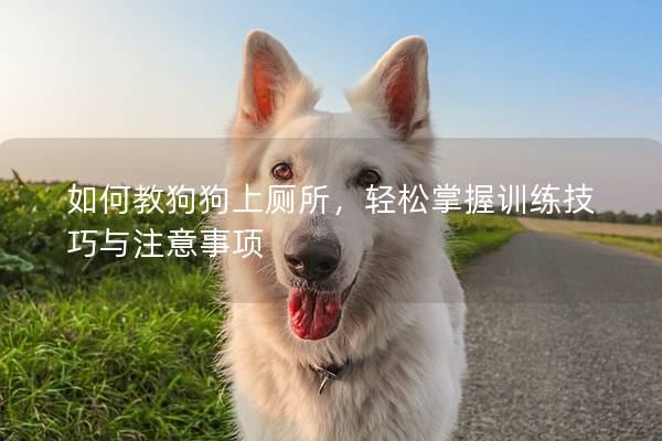如何教狗狗上厕所，轻松掌握训练技巧与注意事项