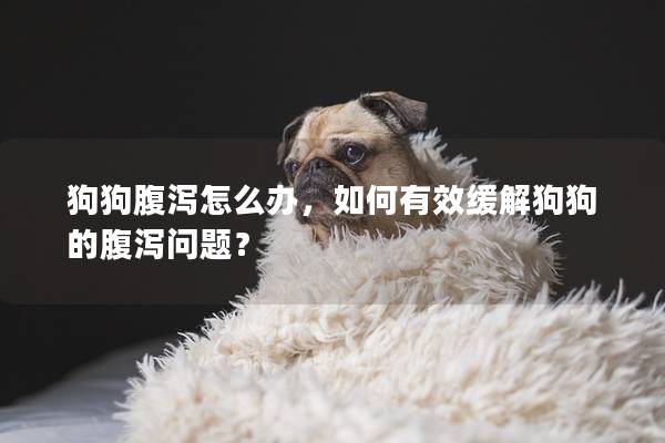 狗狗腹泻怎么办，如何有效缓解狗狗的腹泻问题？