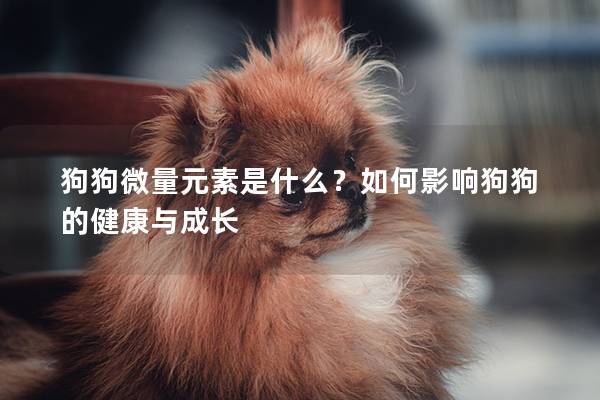 狗狗微量元素是什么？如何影响狗狗的健康与成长