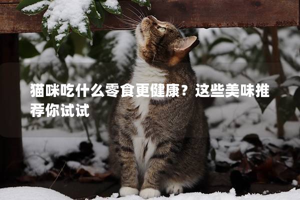猫咪吃什么零食更健康？这些美味推荐你试试